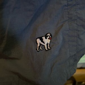 Men’s Big Dog Swim trunks blue